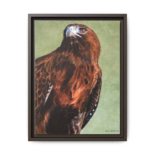Framed Matte Canvas - Red-Tailed Hawk Bird Wall Art