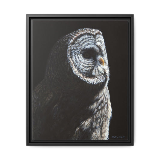 Framed Matte Canvas Owl Portrait — Realistic Barred Owl Wall Art