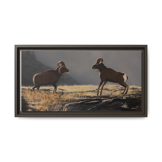 Framed Matte Canvas Print — Wild Bighorn Sheep Landscape