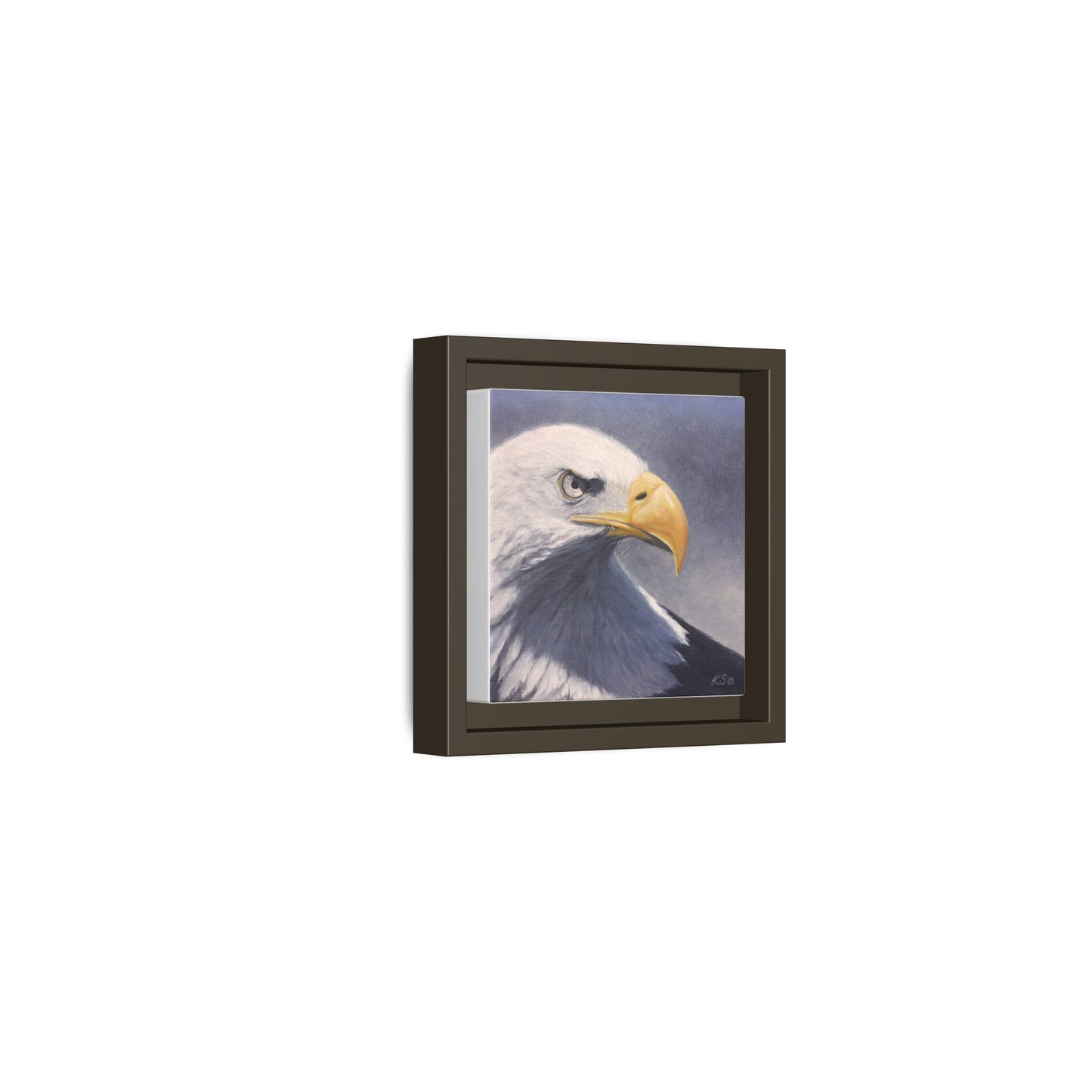 Framed Matte Canvas Eagle Portrait — Bald Eagle Wall Art