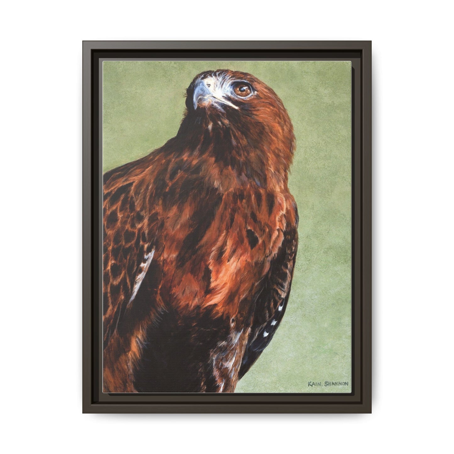 Hunter~Red-Tailed Hawk~Framed Canvas Print~12"x16"