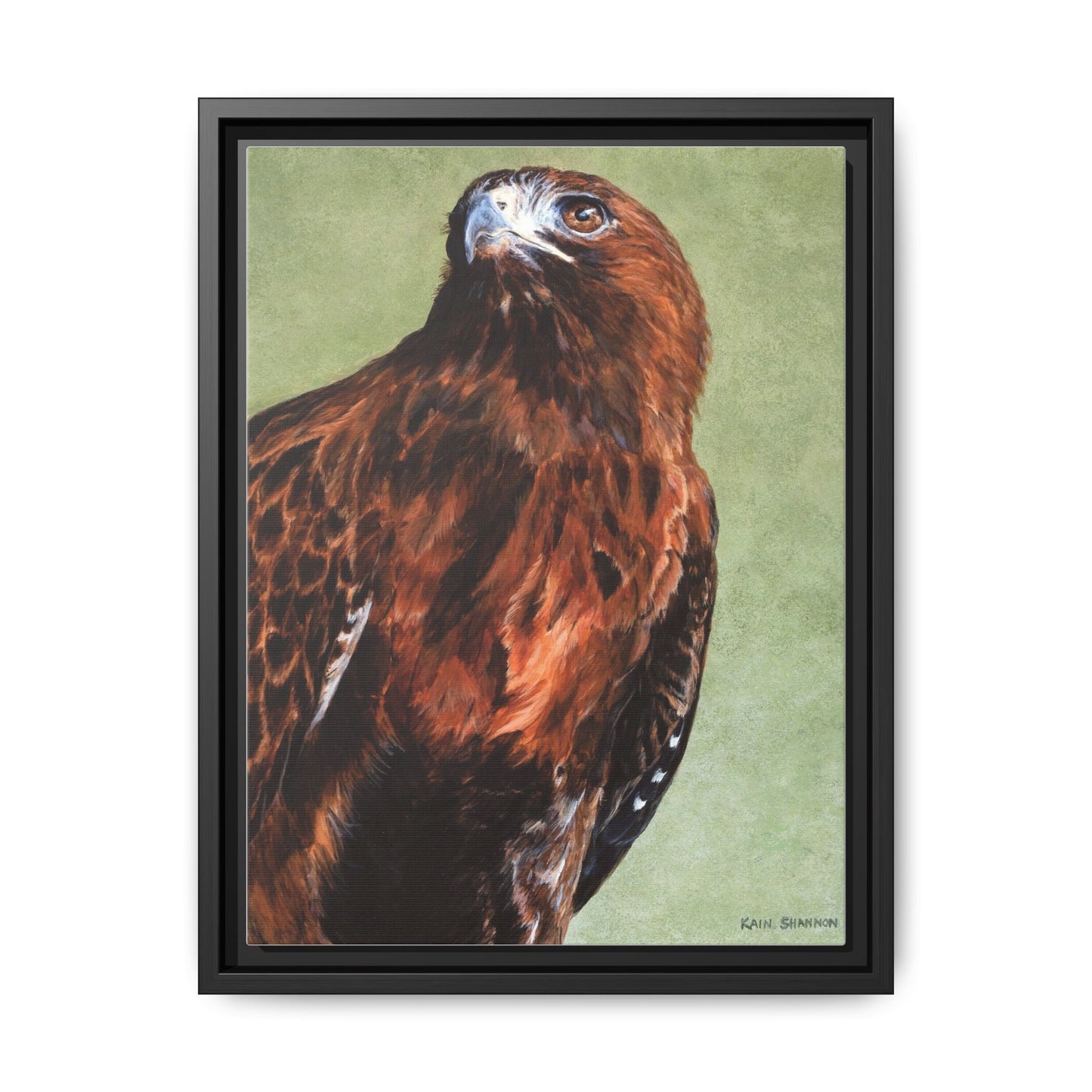 Hunter~Red-Tailed Hawk~Framed Canvas Print~12"x16"