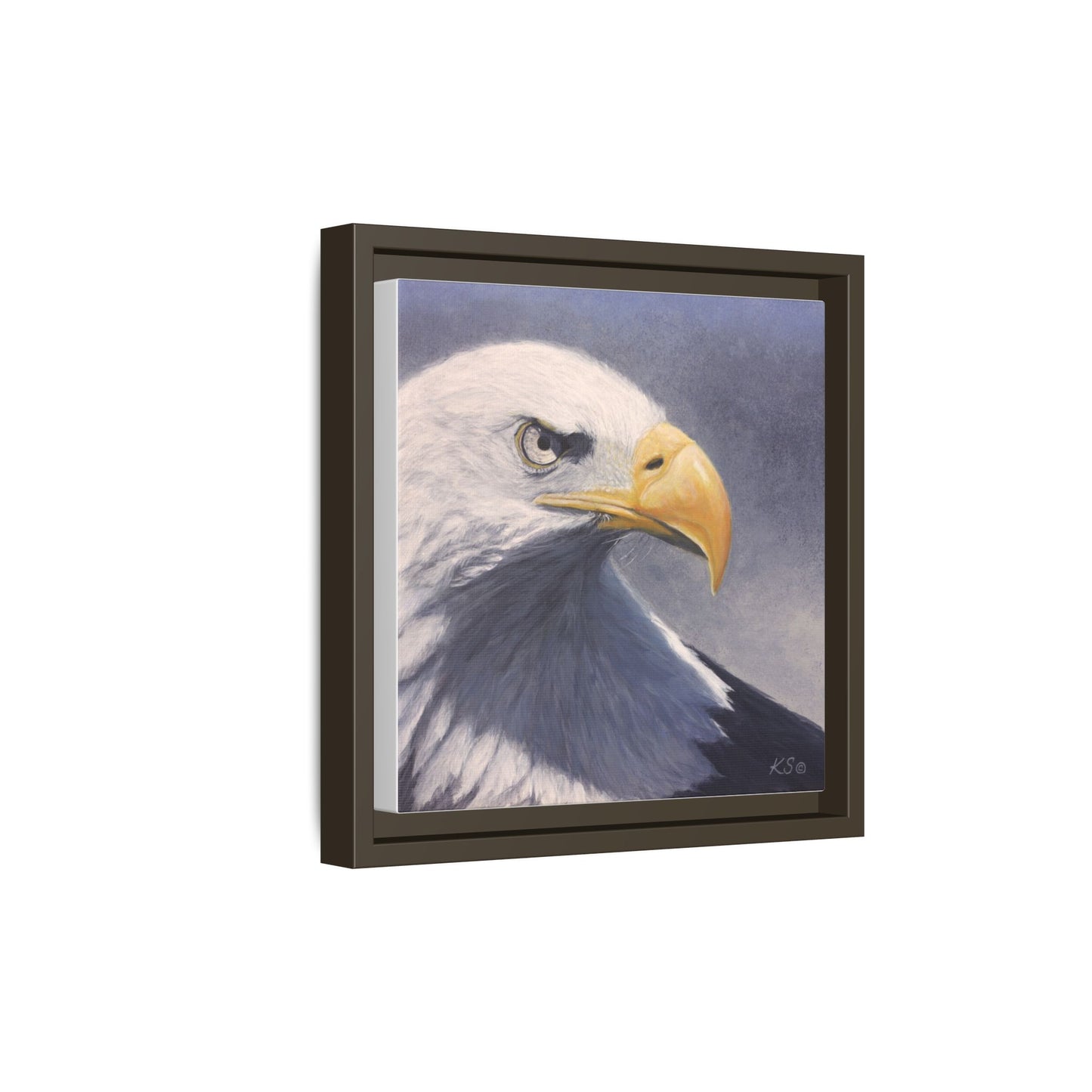 Framed Matte Canvas Eagle Portrait — Bald Eagle Wall Art