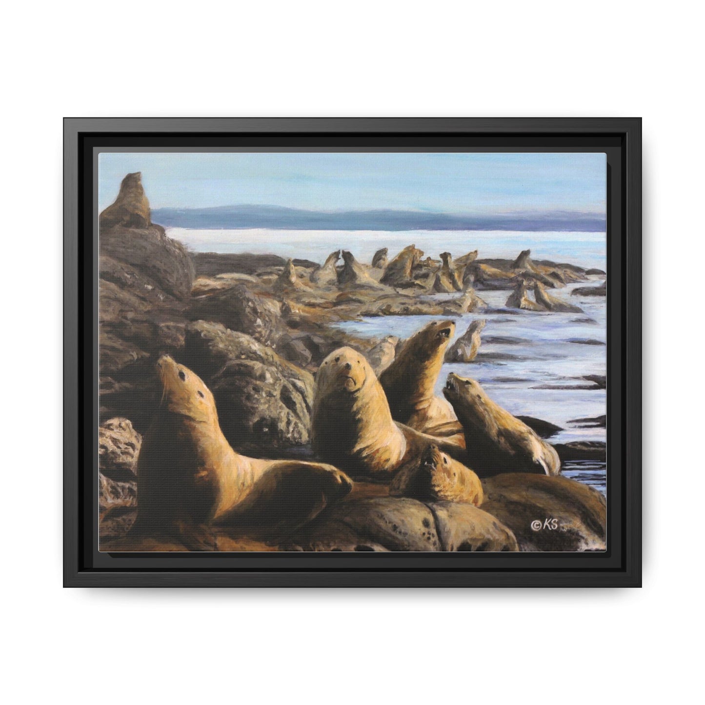 Framed Sea Lion Beach Canvas Print — Coastal Wildlife Wall Art