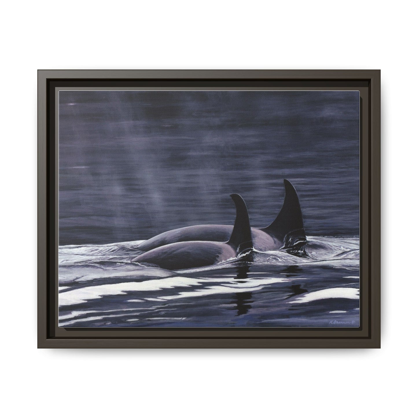 Orca Pod Matte Framed Canvas Print — Whale Ocean Photography Wall Art