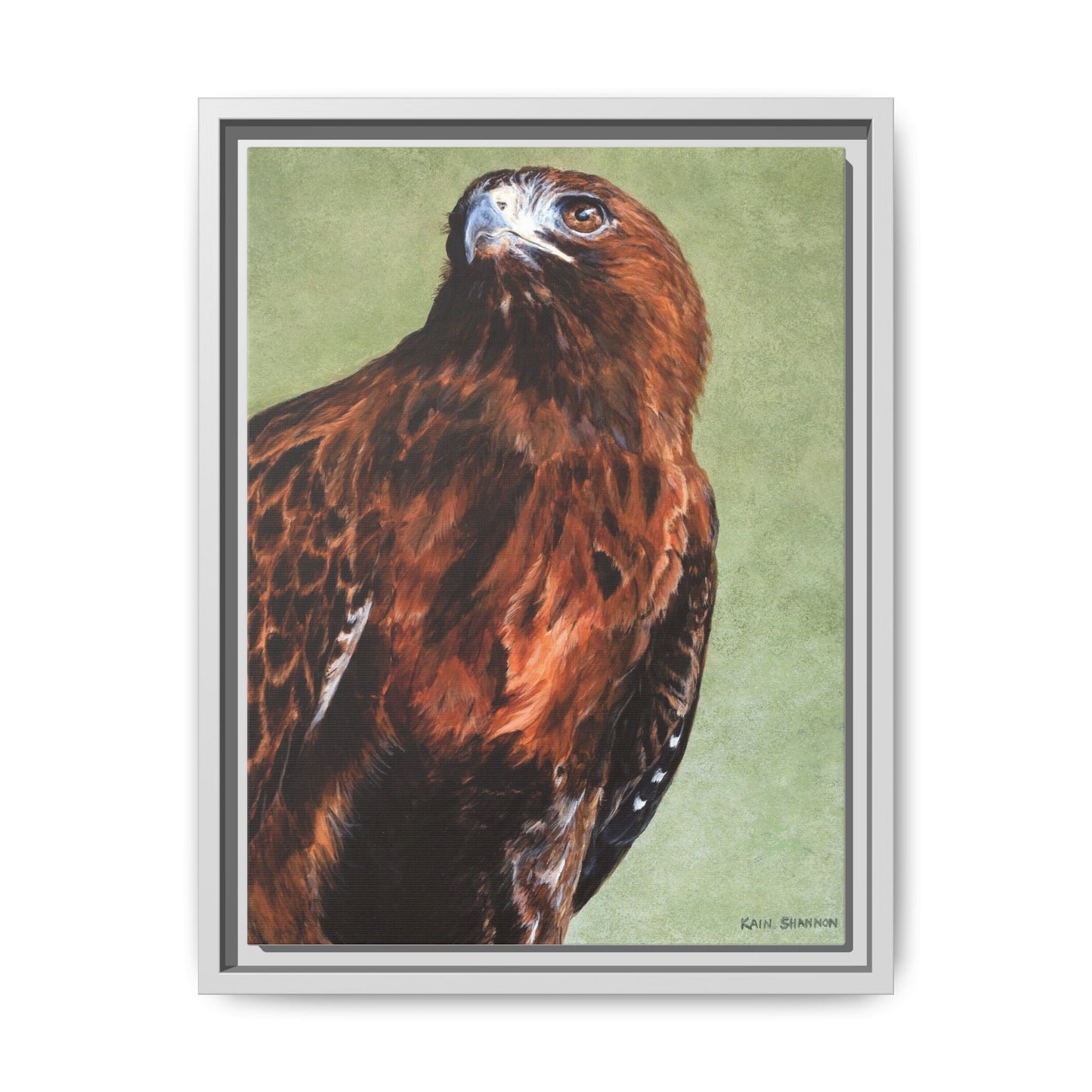 Hunter~Red-Tailed Hawk~Framed Canvas Print~12"x16"