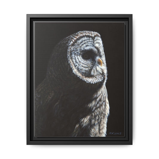Framed Matte Canvas Owl Portrait — Realistic Barred Owl Wall Art