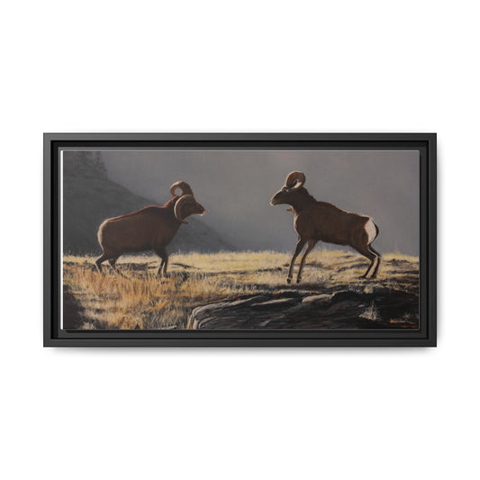 Framed Matte Canvas Print — Wild Bighorn Sheep Landscape
