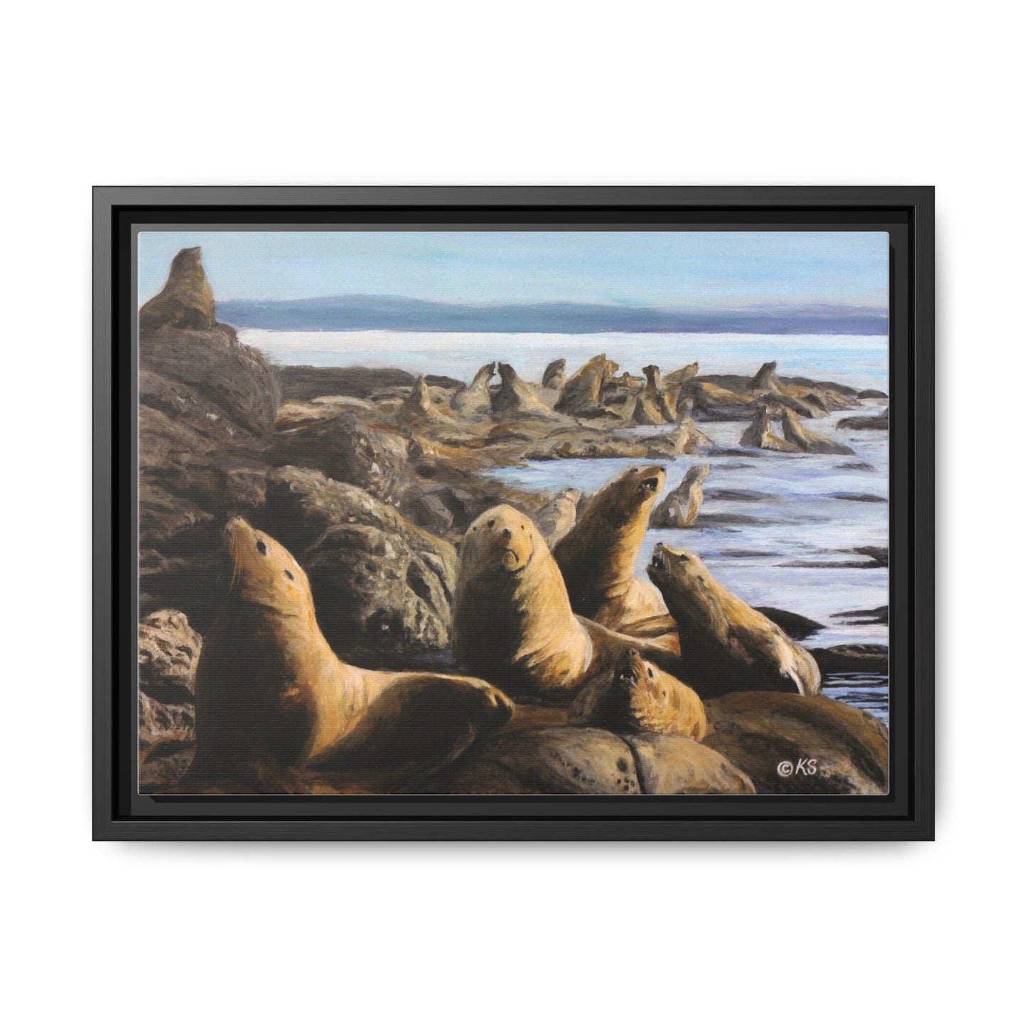 Framed Sea Lion Beach Canvas Print — Coastal Wildlife Wall Art