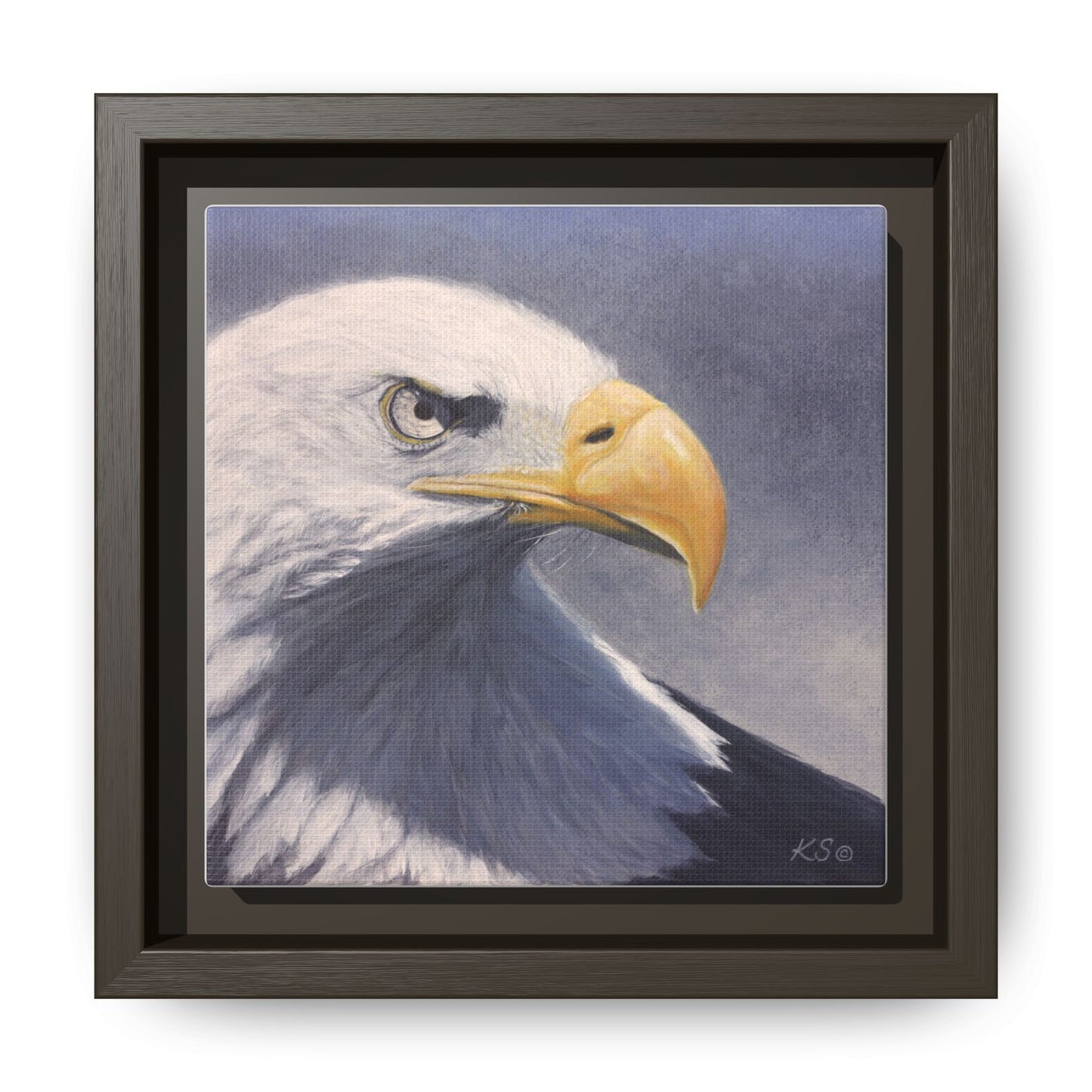 Framed Matte Canvas Eagle Portrait — Bald Eagle Wall Art