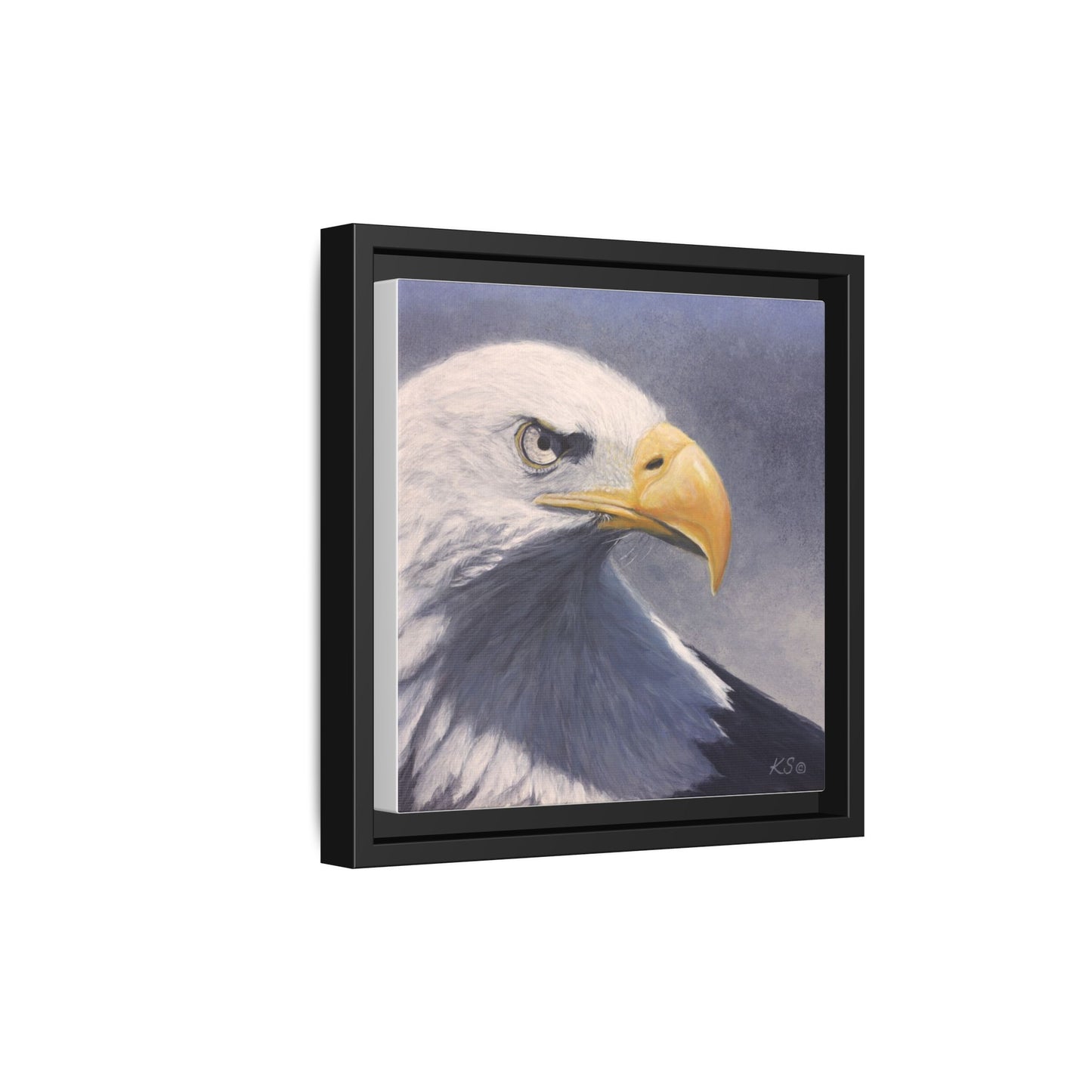 Framed Matte Canvas Eagle Portrait — Bald Eagle Wall Art