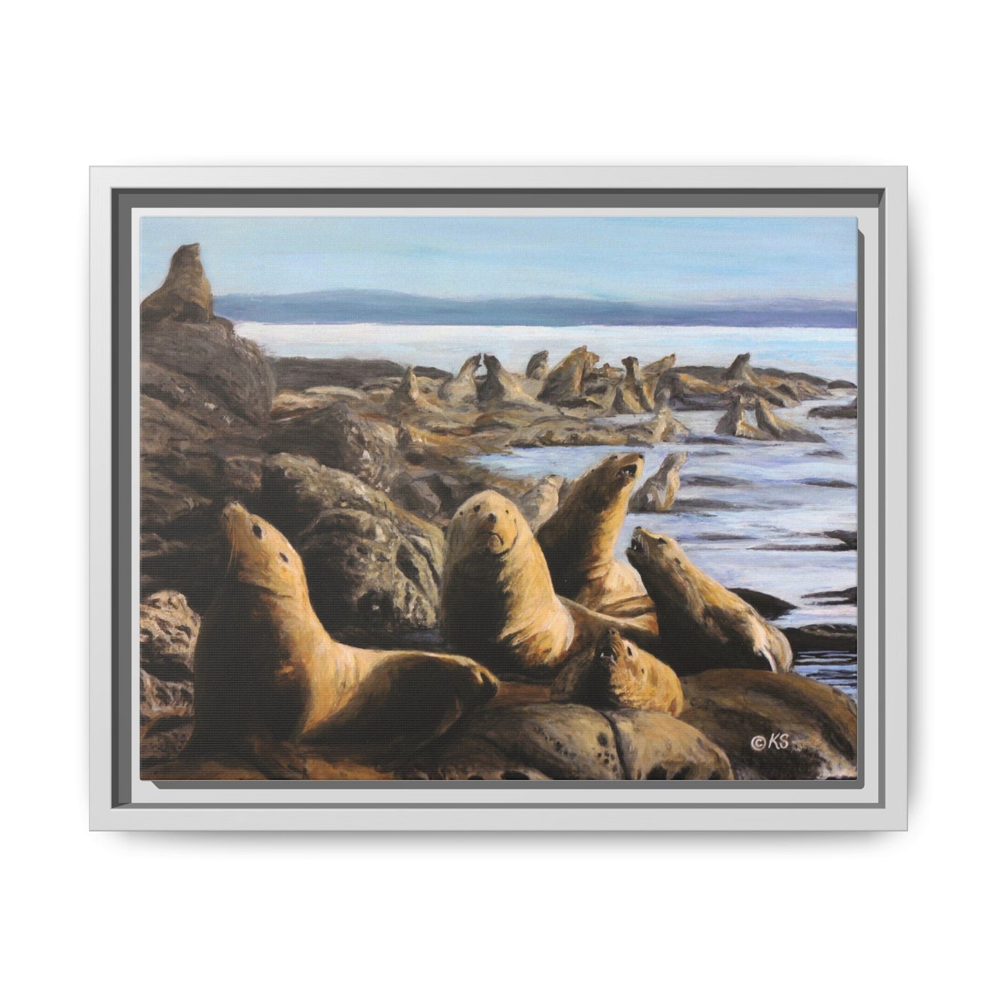 Framed Sea Lion Beach Canvas Print — Coastal Wildlife Wall Art