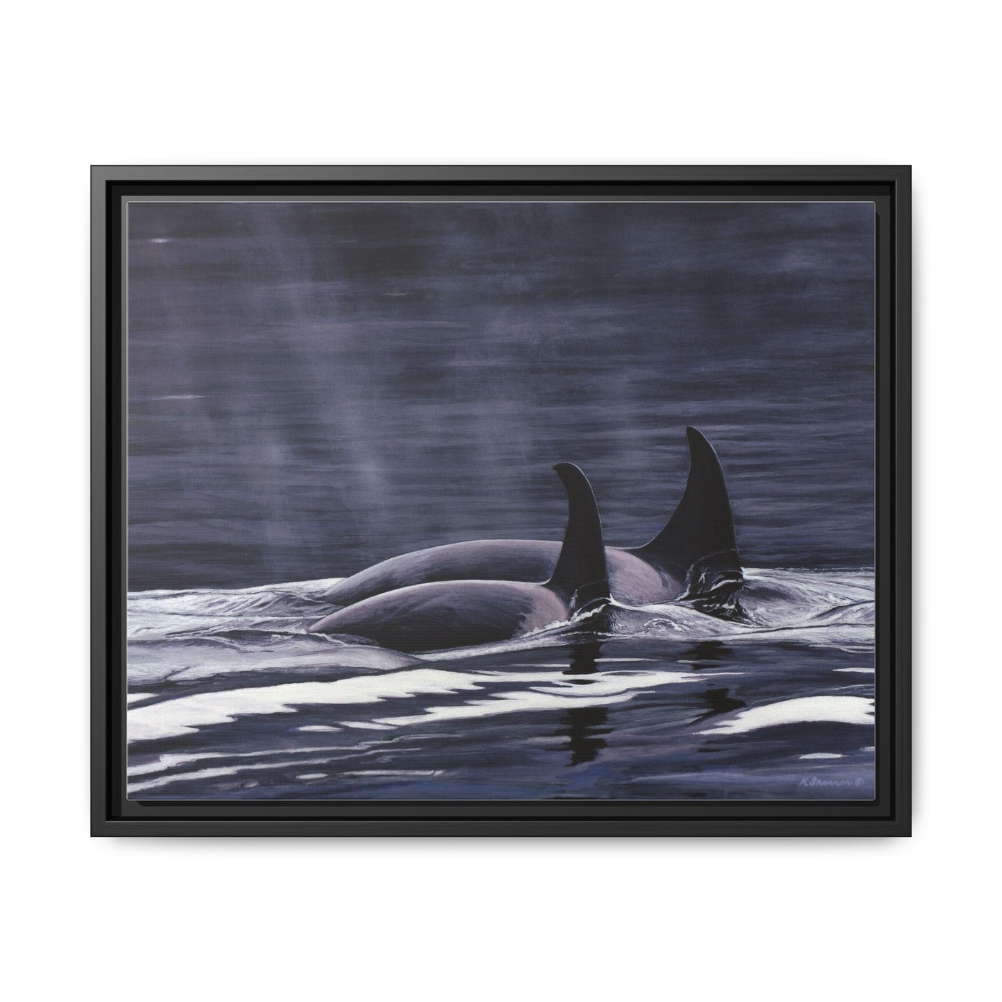 Orca Pod Matte Framed Canvas Print — Whale Ocean Photography Wall Art