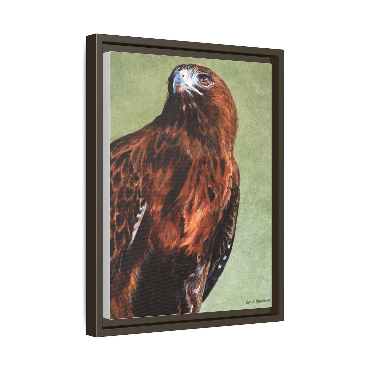 Hunter~Red-Tailed Hawk~Framed Canvas Print~12"x16"