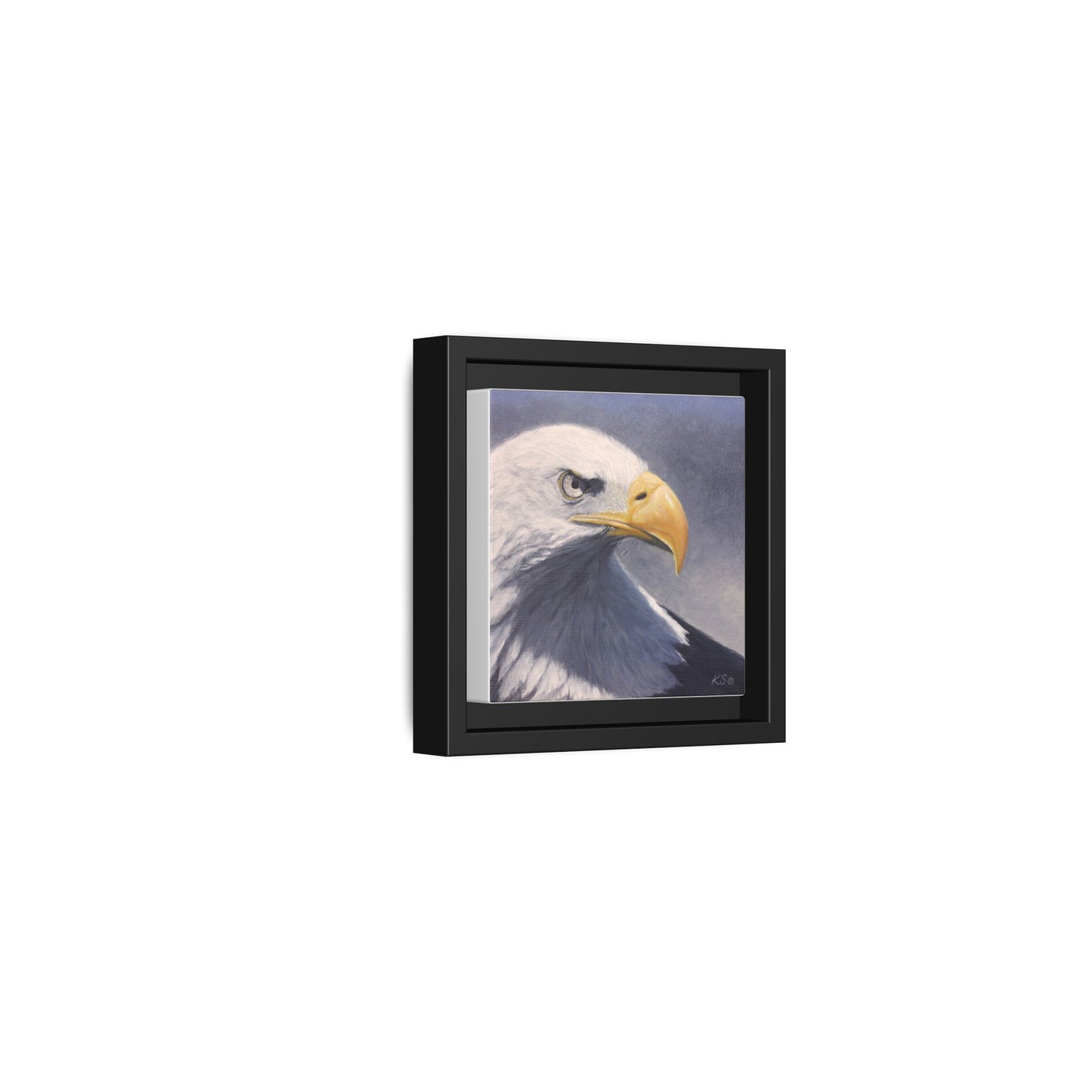 Framed Matte Canvas Eagle Portrait — Bald Eagle Wall Art