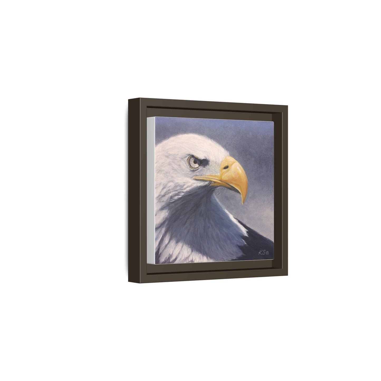 Framed Matte Canvas Eagle Portrait — Bald Eagle Wall Art