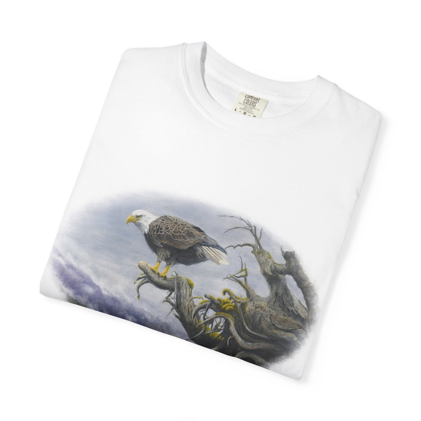 Bald Eagle Coastal Scene T-Shirt — Vantage Point