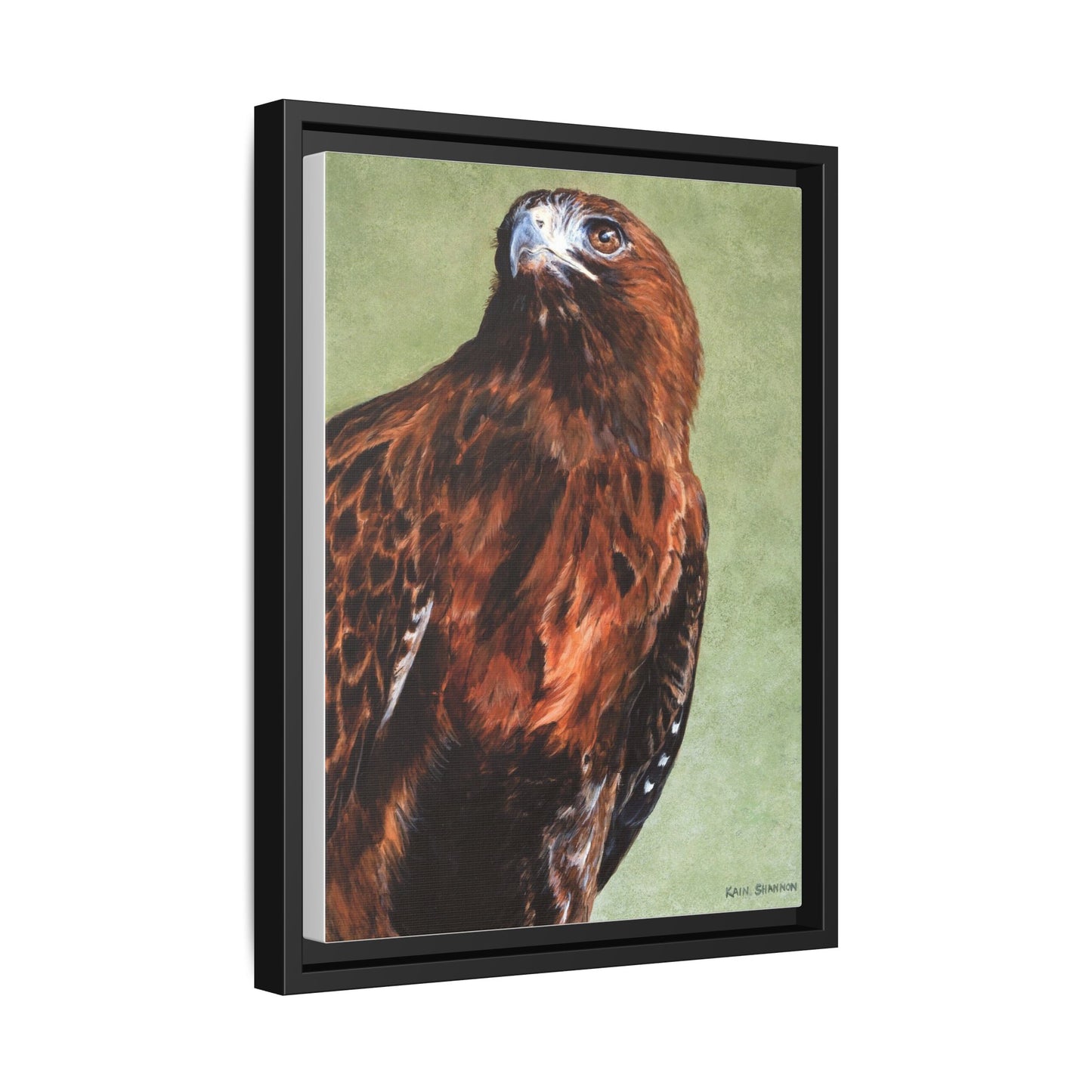 Hunter~Red-Tailed Hawk~Framed Canvas Print~12"x16"