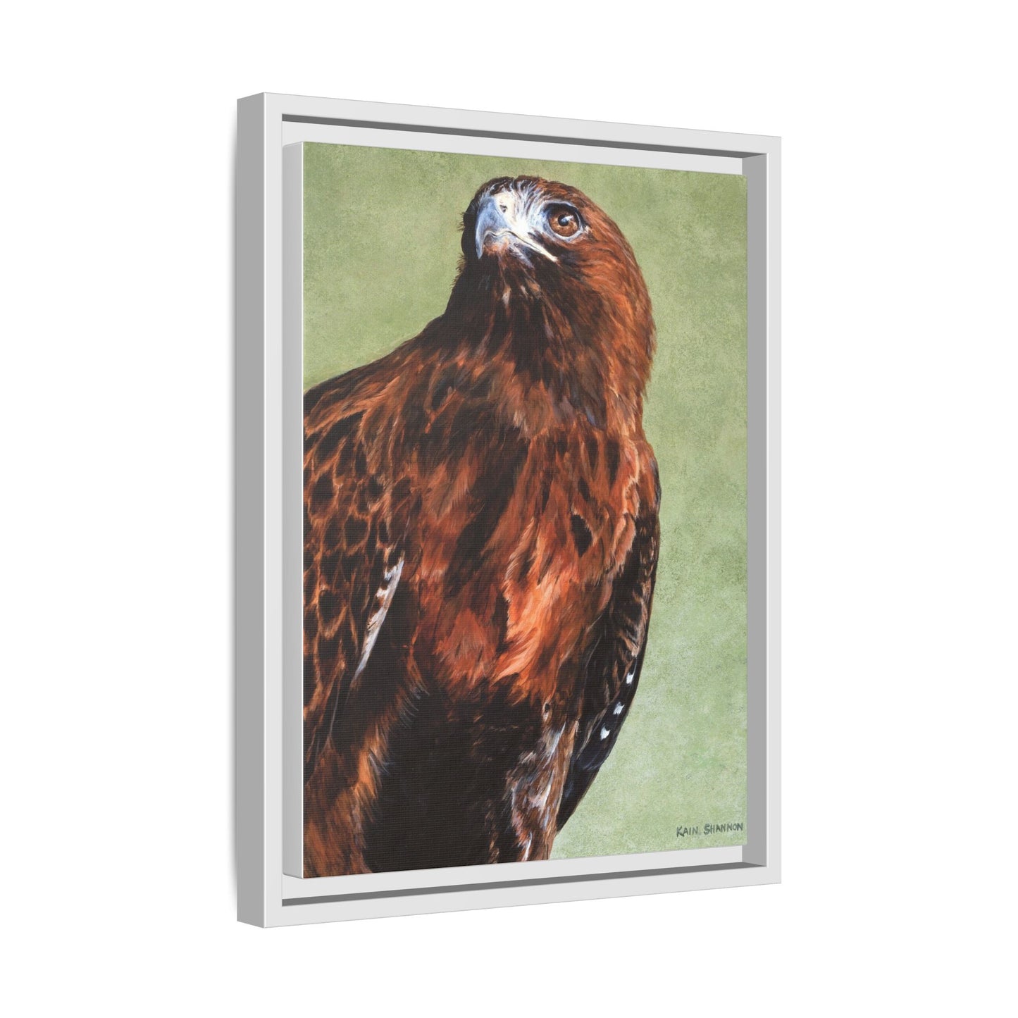 Hunter~Red-Tailed Hawk~Framed Canvas Print~12"x16"