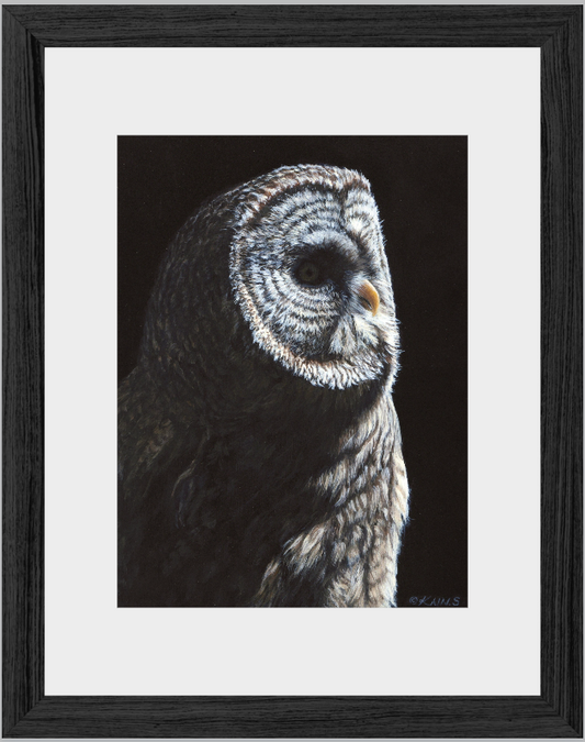 Midnight Owl-Framed-Ready to hang Art - 8.5" x 11" (Frame size)