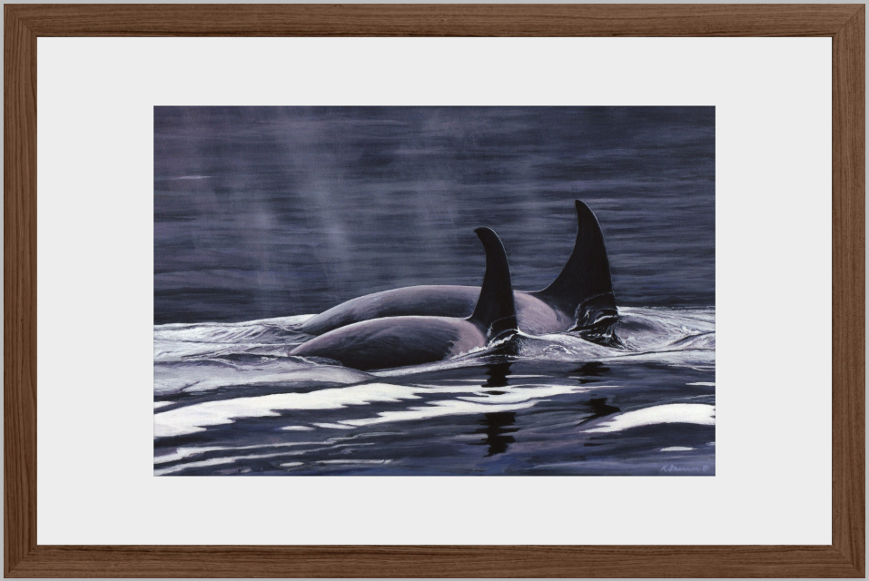 11 " x 17" Archival Ink Print with Oak Frame and Matt-Ready to Hang!