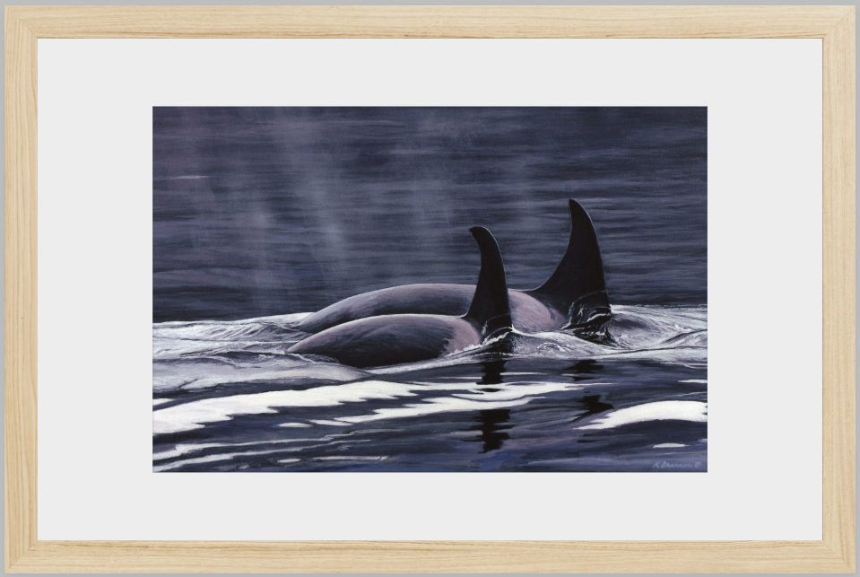 11 " x 17" Archival Ink Print with Oak Frame and Matt-Ready to Hang!