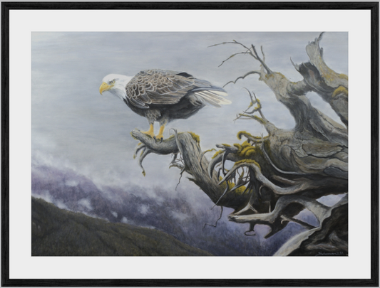 Framed artwork of a bald eagle perched on a branch with a mountainous background.